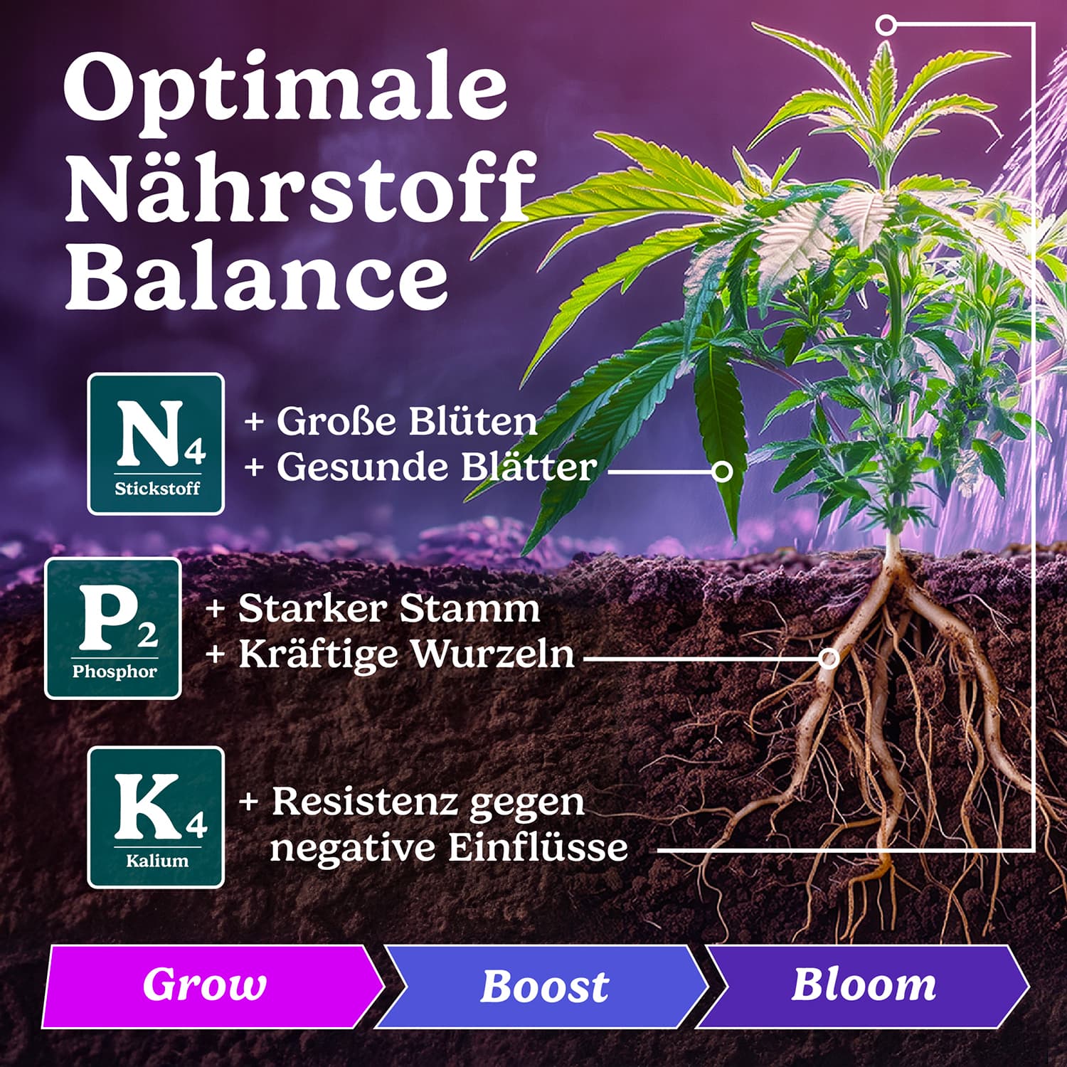 BIOLORA® Nährstoffe Grow und Blüte