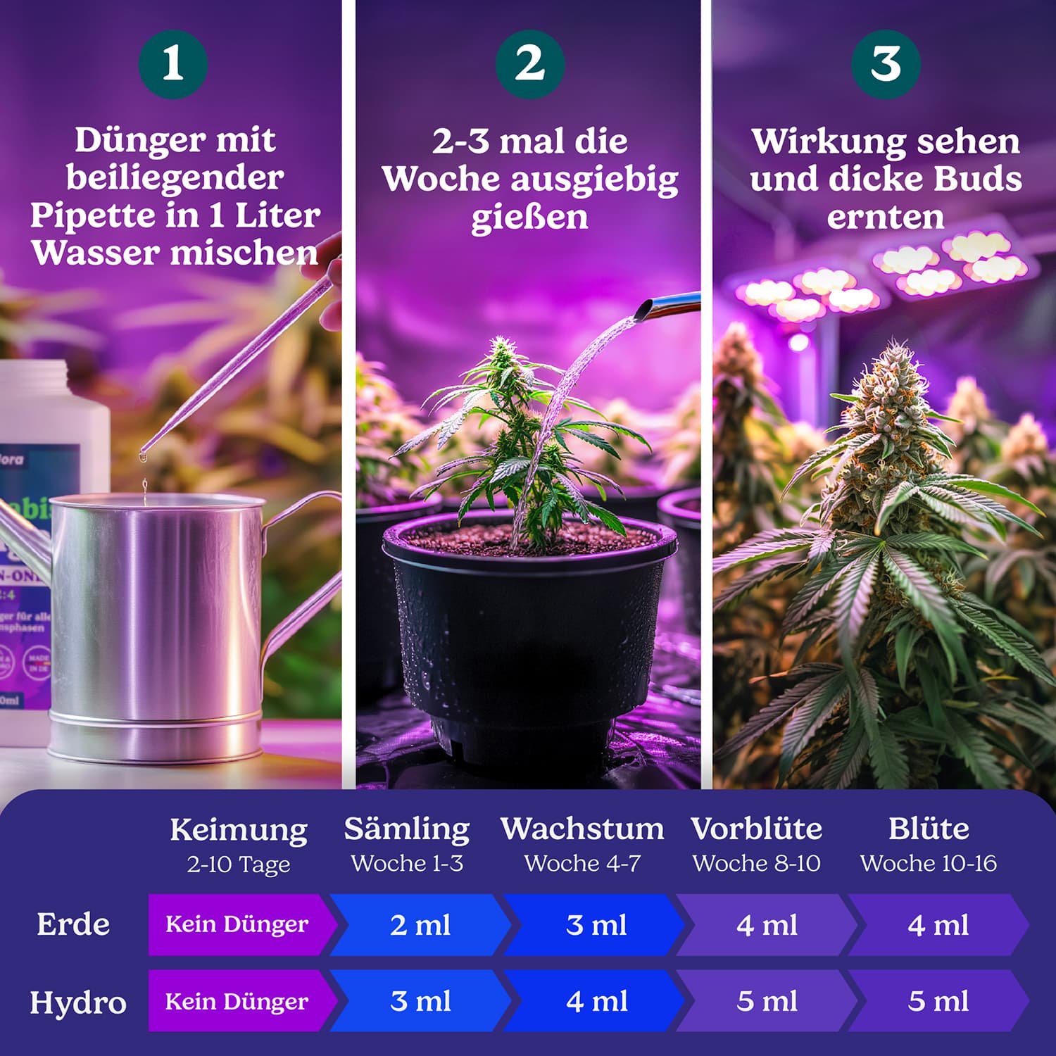 BIOLORA® Wurzelaktivator und All-in-One Vorteile