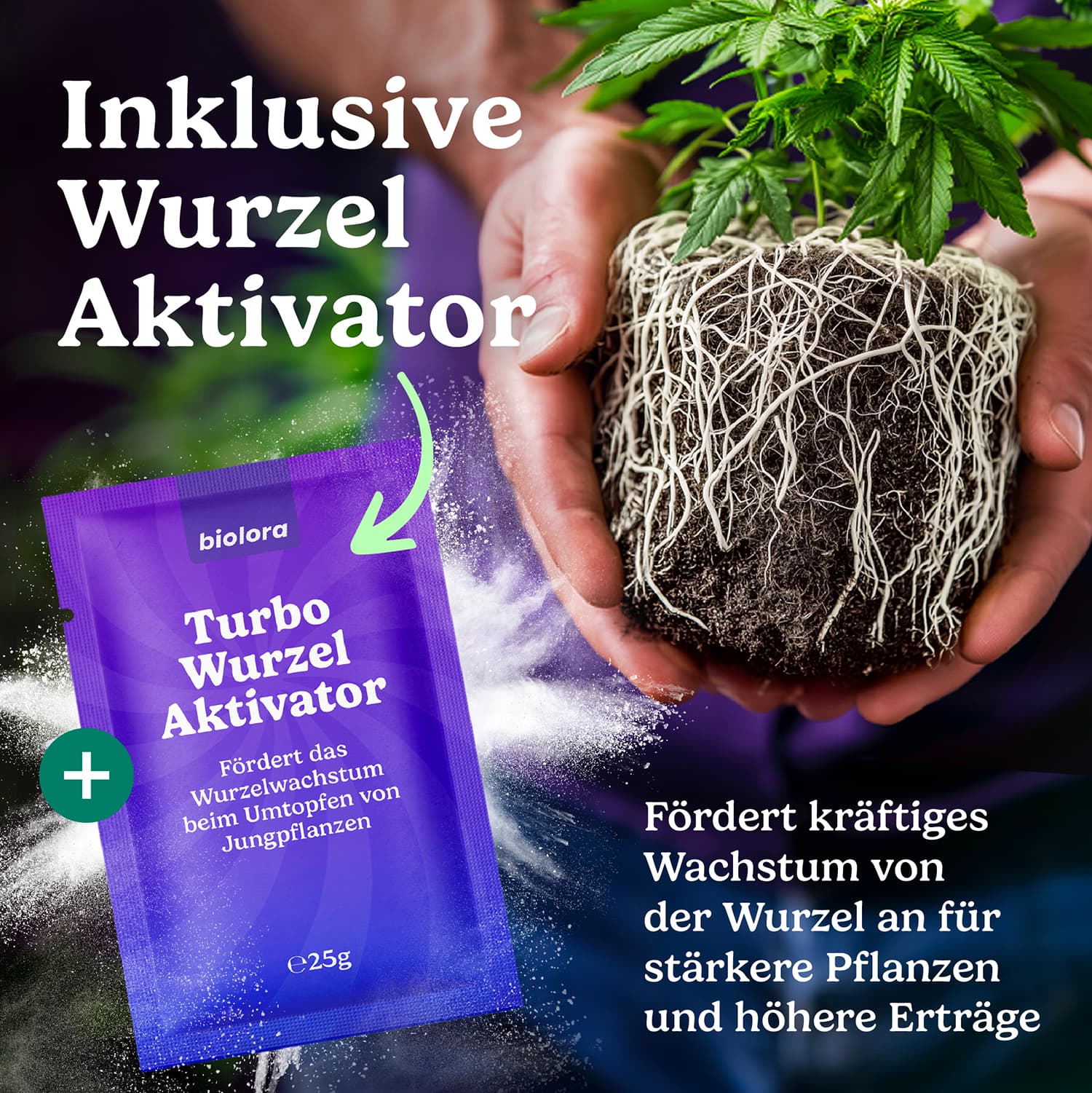 BIOLORA® Dosierkappe und praktische Handhabung
