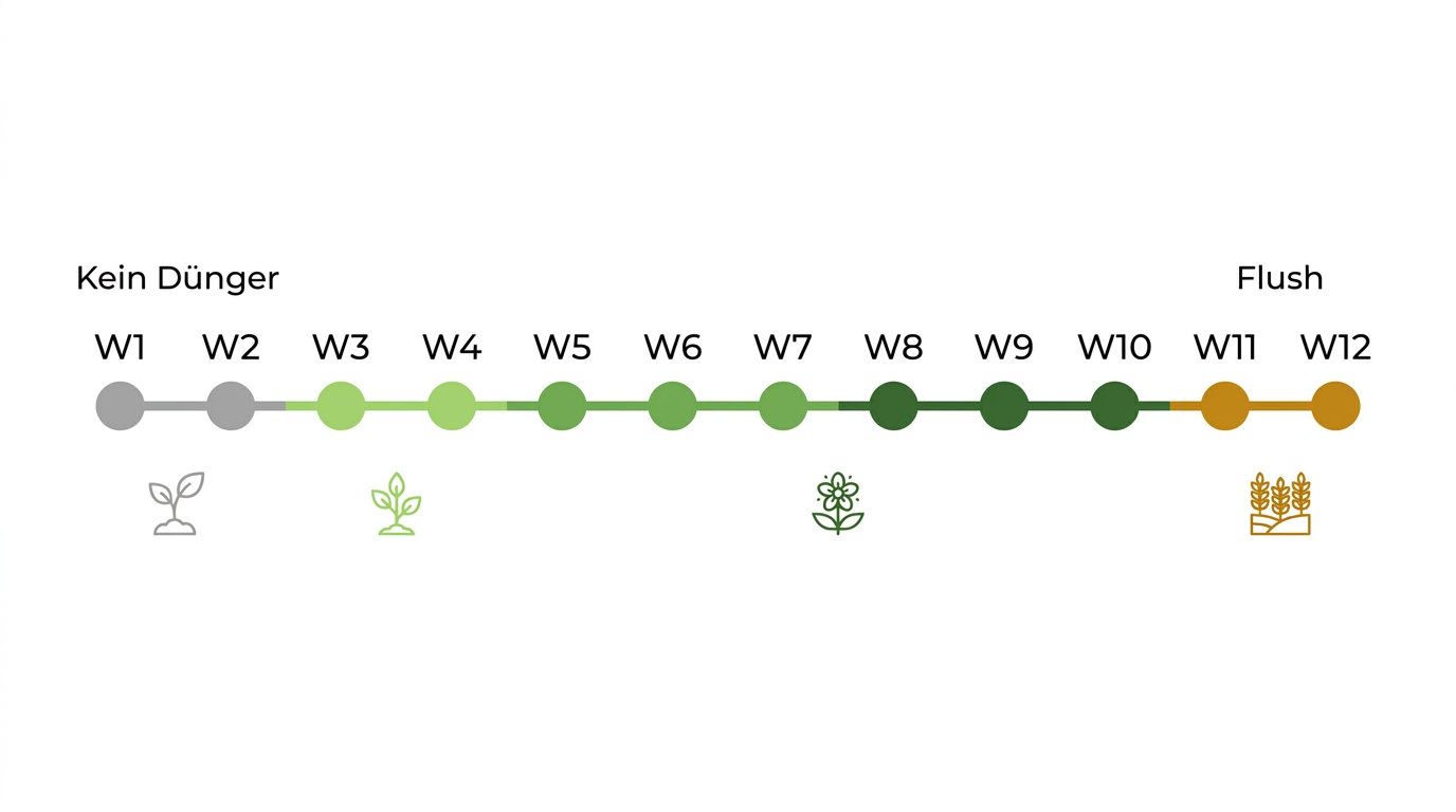 Autoflower dngen: Anleitung, Dosierung & Dngeplan 2026 | BIOLORA