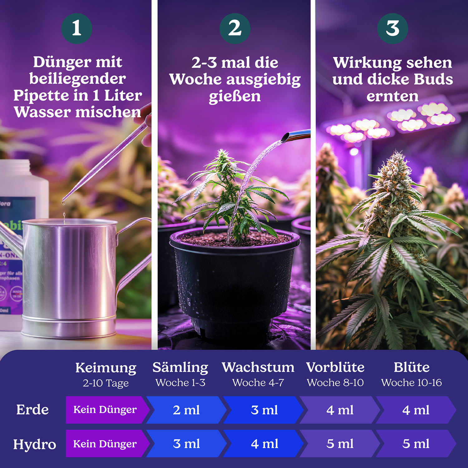 grow dünger blüte Cannabis-Dünger-Set 2 x 1 Liter – Purgrün